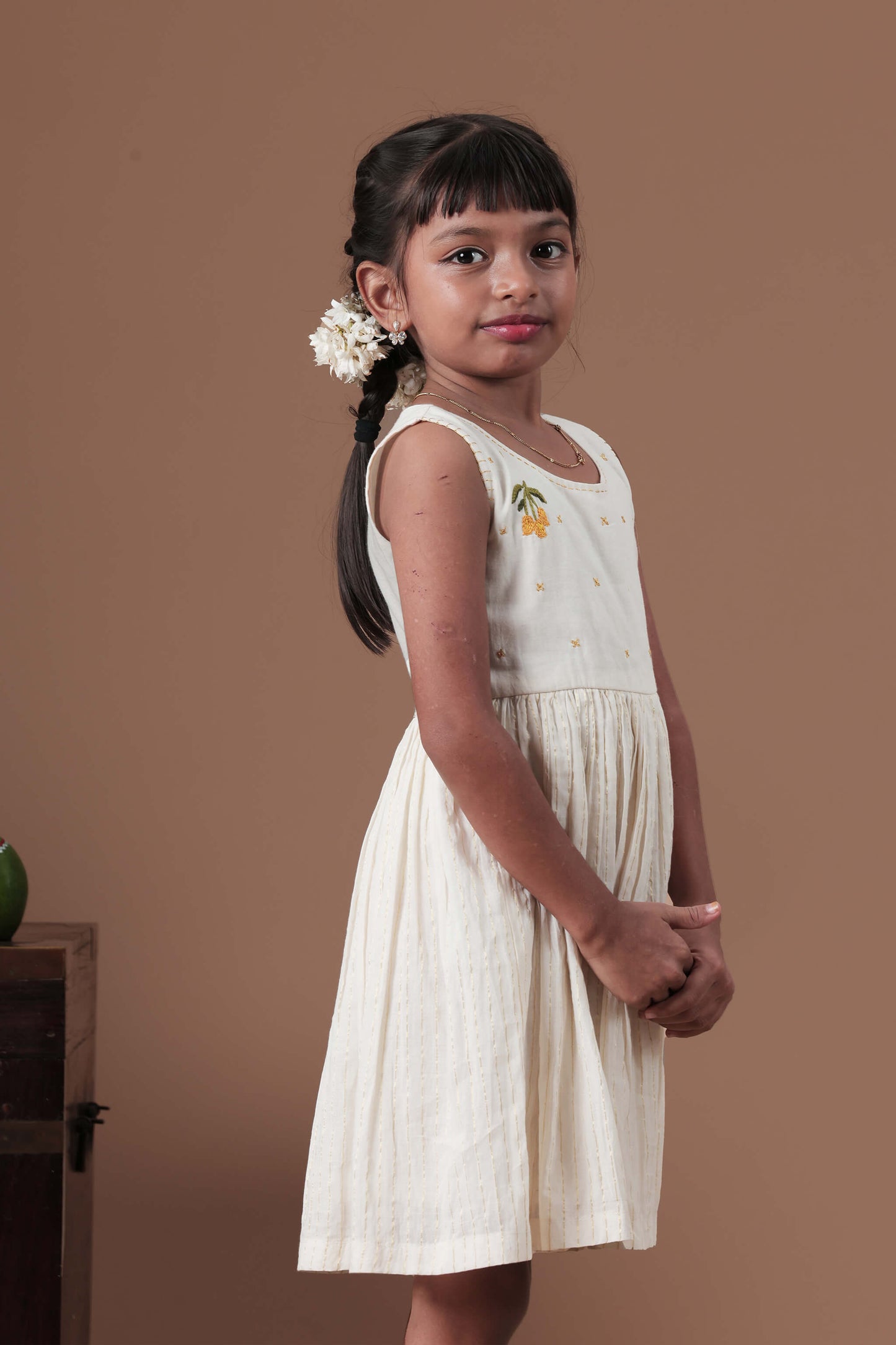 Hand Embroidered Mango & Parrot Motif Dress