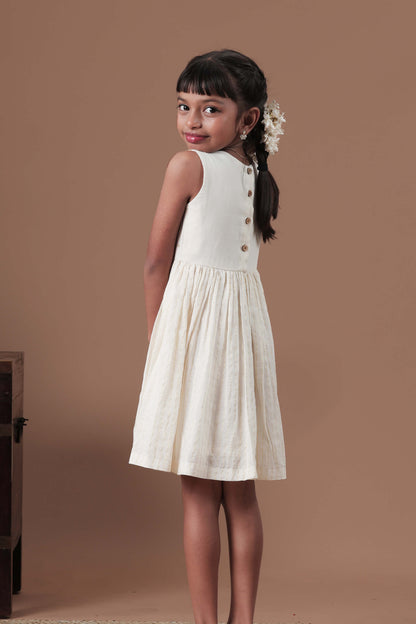 Hand Embroidered Mango & Parrot Motif Dress