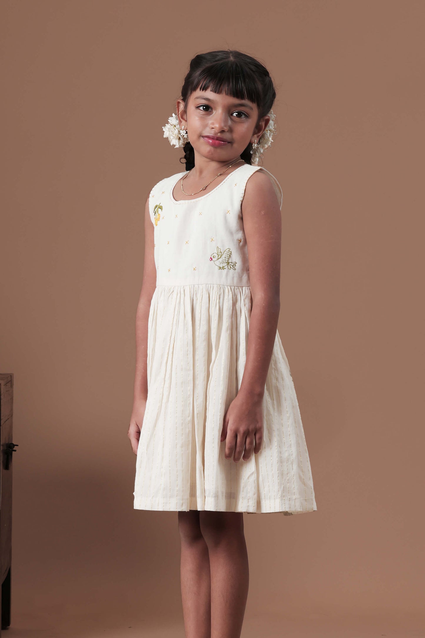 Hand Embroidered Mango & Parrot Motif Dress