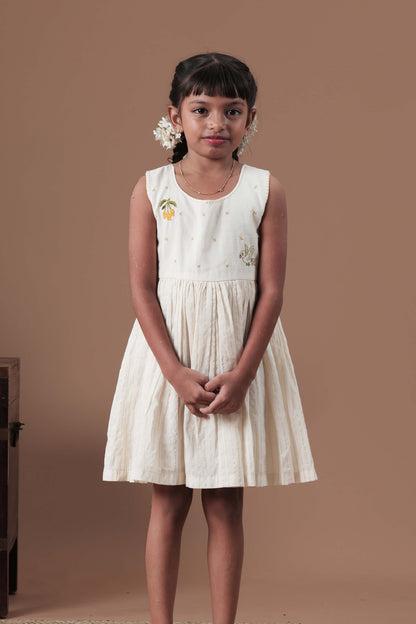 Hand Embroidered Mango & Parrot Motif Dress
