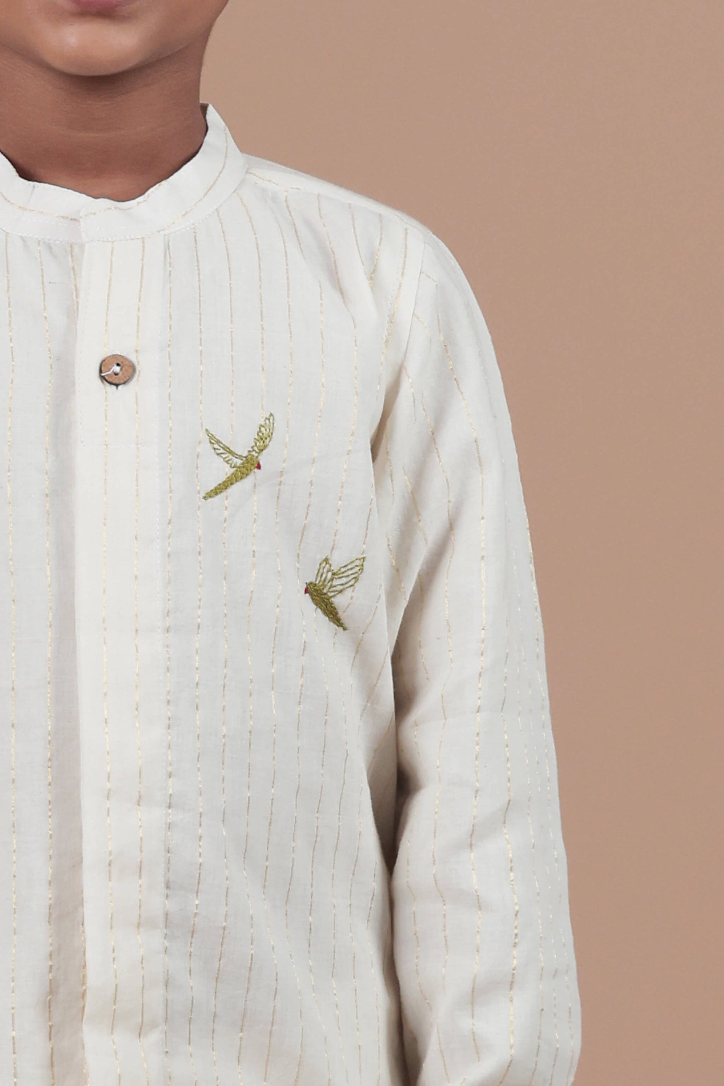 Parrot Motif Hand Embroidered Full sleeve shirt for Kids