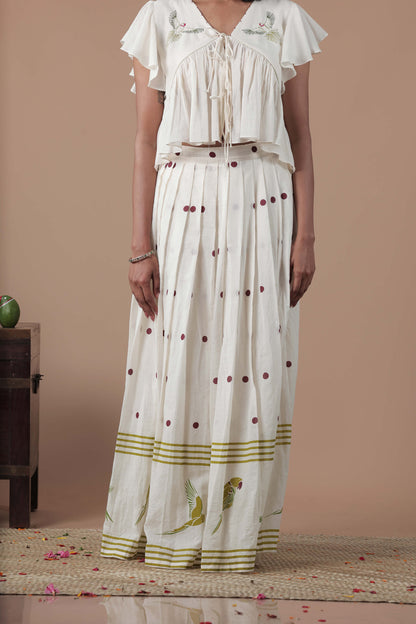 Empire Cut Top Handloom Croptop and Pleated flared skirt combo