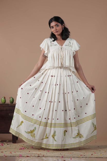 Empire Cut Top Handloom Croptop and Pleated flared skirt combo