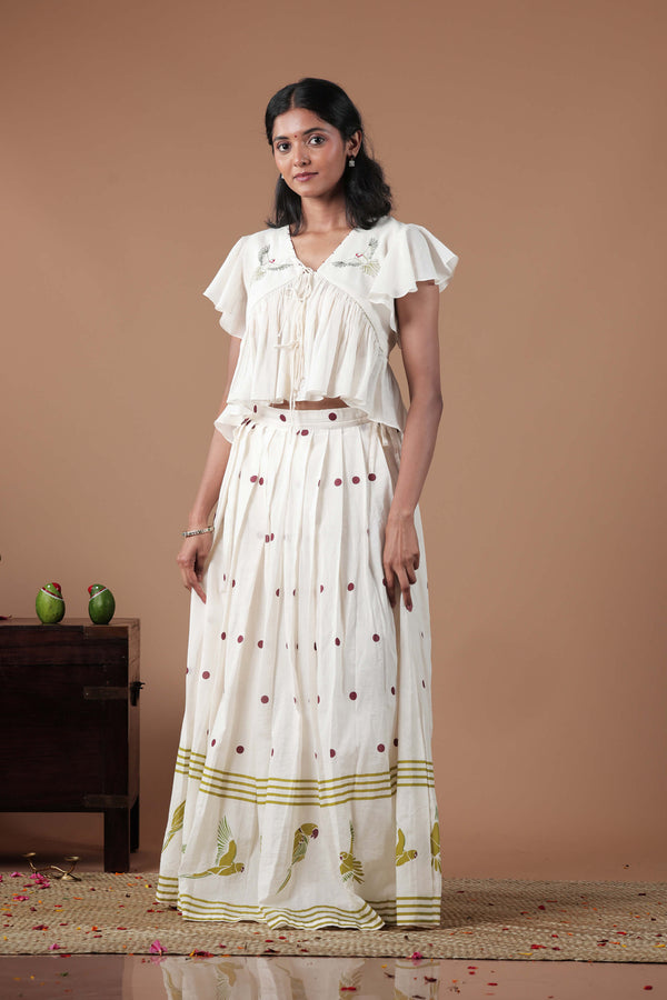 Empire Cut Top Handloom Croptop and Pleated flared skirt combo